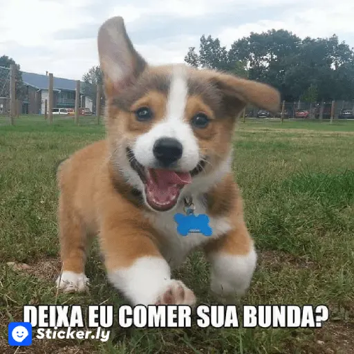 Cachorro correndo feliz em um gramado com a frase 'DEIXA EU COMER SUA BUNDA?'. (figurinha whatsapp)